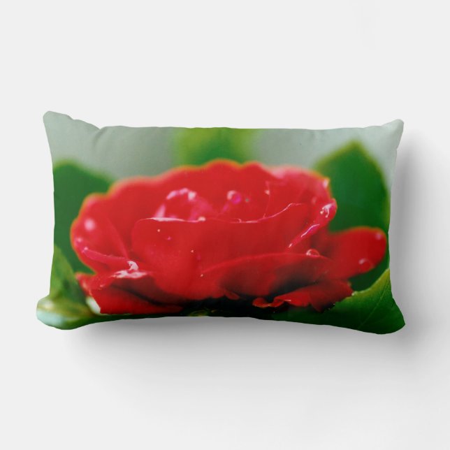 Morning red Rose covered with dew drops  Lumbar Pillow (Front)