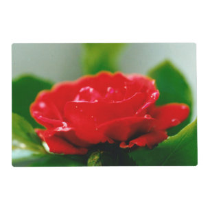 Morning red Rose covered with dew drops Placemat