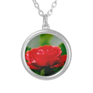 Morning red Rose covered with dew drops  Silver Plated Necklace