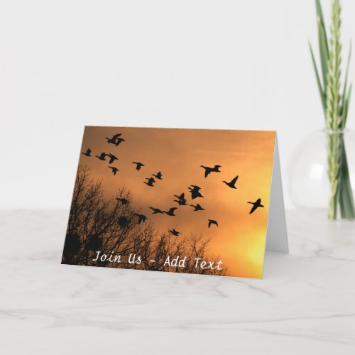 Morning Sun Flying Ducks Greeting Cards
