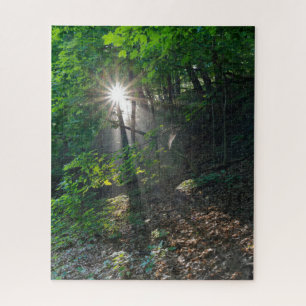 Morning Sunbeams Through Forest of Kaposia Park Jigsaw Puzzle