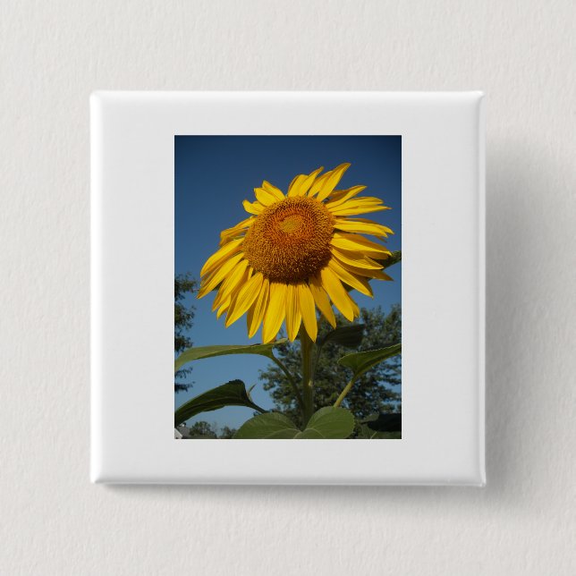 Morning Sunflower Button (Front)