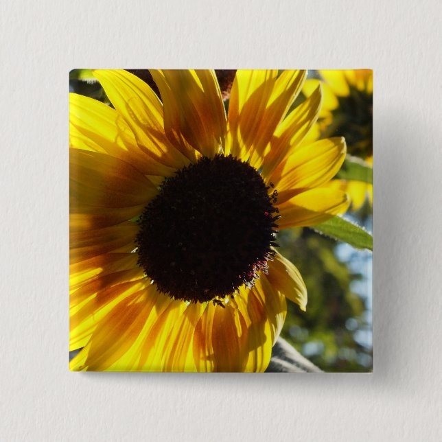 Morning Sunflower Customizable Button (Front)