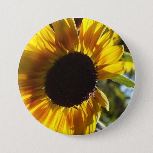 Morning Sunflower Customizable Pinback Button