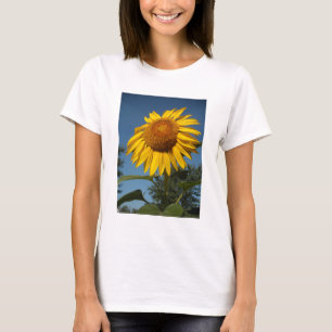 Morning Sunflower T-Shirt