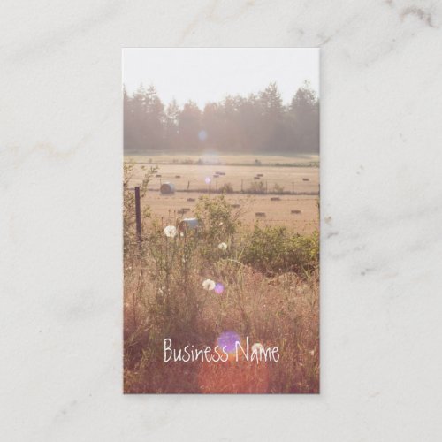 Morning Sunlight Business Card