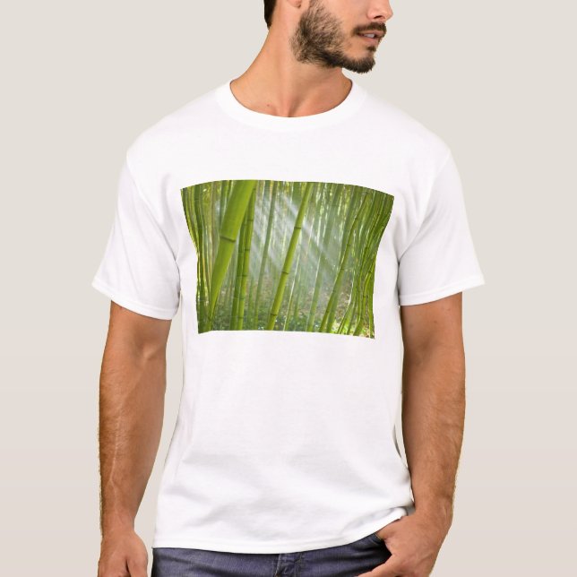Morning sunlight filtering through bamboo T-Shirt (Front)