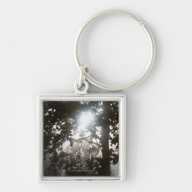 Morning sunlight through foliage of jungle keychain (Front)