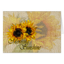 Morning Sunshine..
