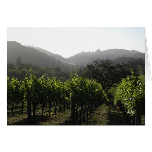 Morning vineyard forest (Front Horizontal)