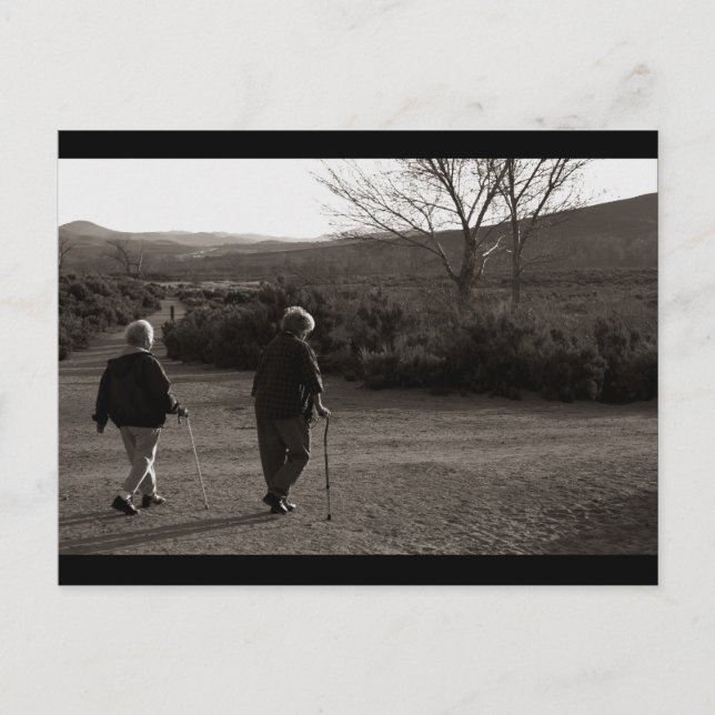 "Morning Walk, Carson City" Postcard (Front)