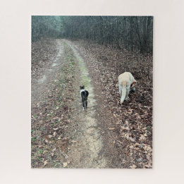 Morning Walk Jigsaw Puzzle