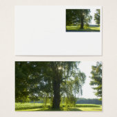 Morning Willow - Start the Day off Bright (Front & Back)