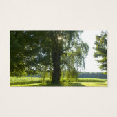 Morning Willow - Start the Day off Bright (Back)