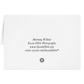 Morning Willow - Start the Day off Bright Sunlight Cards (Back Horizontal)