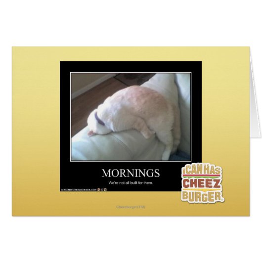 Mornings Cards (Front Horizontal)