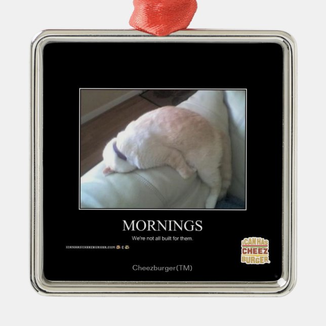 Mornings Metal Ornament (Front)