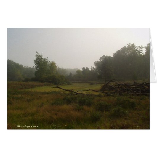 Mornings Peace Cards (Front Horizontal)