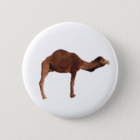 Moroccan Camel Button Pin Badge