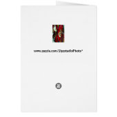 Moroccan Leather Lamps Cards (Back)
