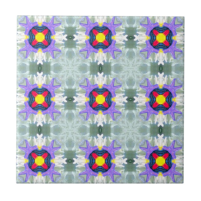 moroccan multi-color geometric tile (Front)