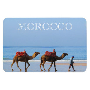 morocco beach camels magnet