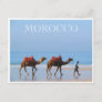 morocco beach camels postcard