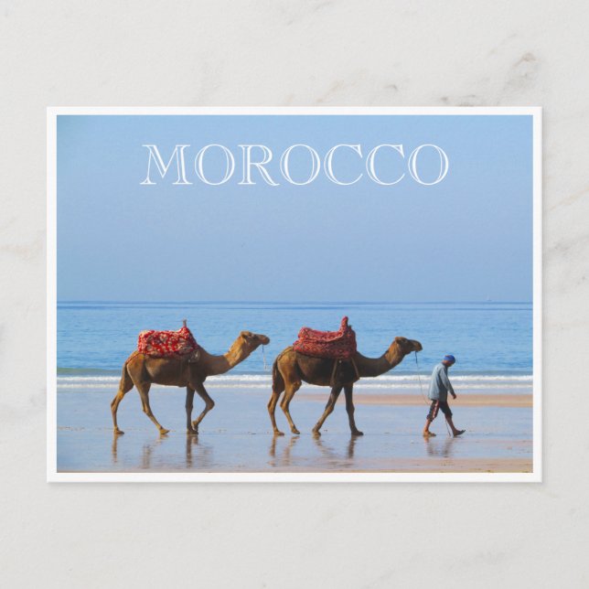 morocco beach camels postcard (Front)
