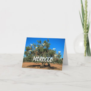 Morocco   Funny Goats in Trees Card