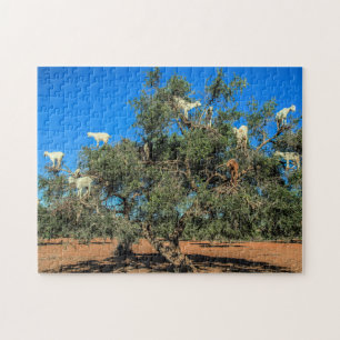 Morocco Goats in Trees Funny Jigsaw Puzzle