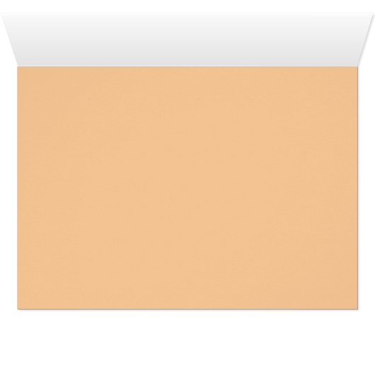 morocco mew (Inside Horizontal (Bottom))