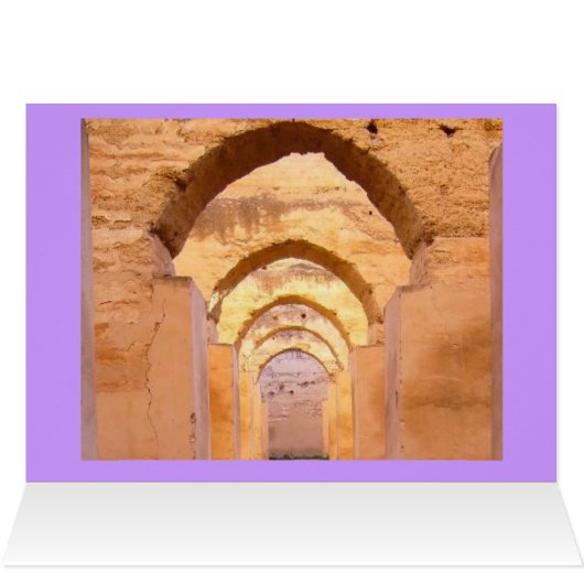 morocco mew (Inside Horizontal (Top))