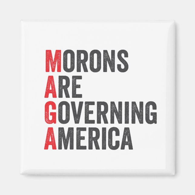 Morons Are Governing America 4th of July  Magnet (Front)