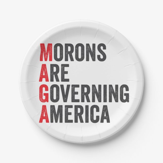 Morons Are Governing America 4th of July  Paper Plates (Front)