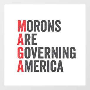 Morons Are Governing America 4th of July Window Cling