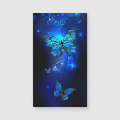 Morpho Butterfly in the Dark Background (Front)