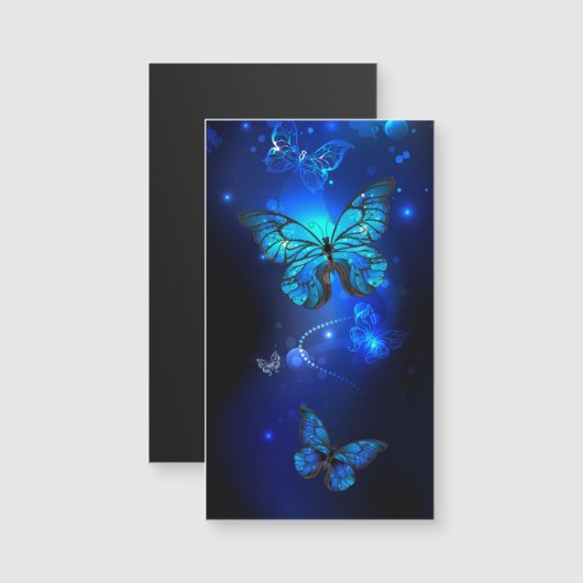 Morpho Butterfly in the Dark Background (Front/Back)