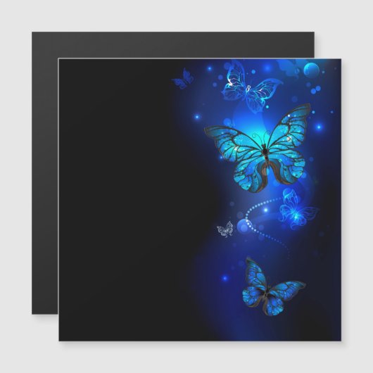 Morpho Butterfly in the Dark Background (Front/Back)