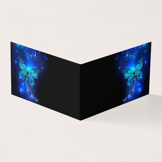 Morpho Butterfly in the Dark Background (Outside)