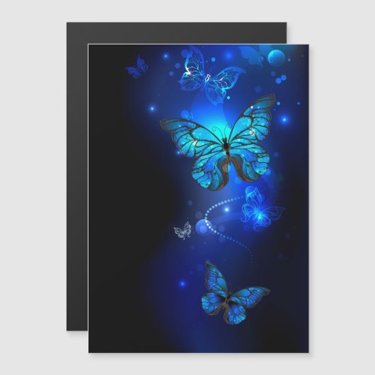 Morpho Butterfly in the Dark Background (Front/Back)