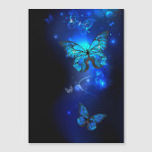 Morpho Butterfly in the Dark Background (Front)