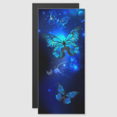 Morpho Butterfly in the Dark Background (Front/Back)