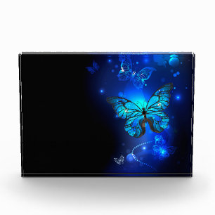 Morpho Butterfly in the Dark Background Acrylic Award