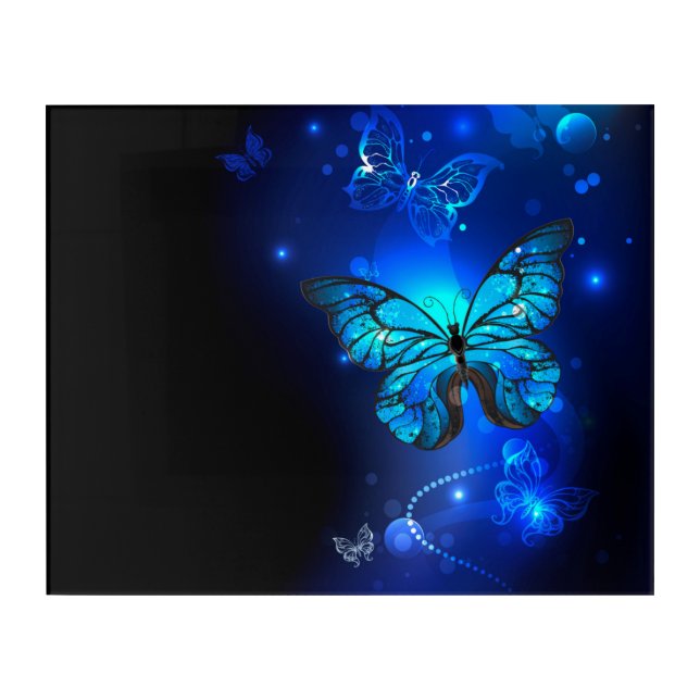 Morpho Butterfly in the Dark Background Acrylic Print (Front)