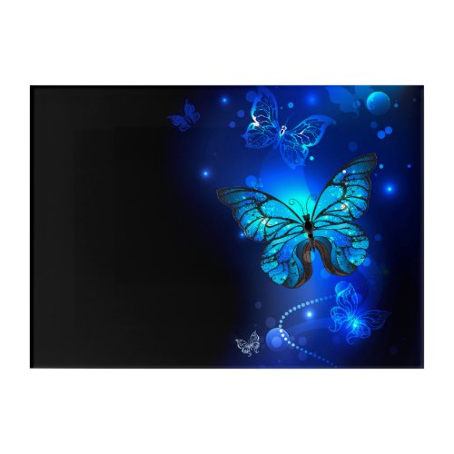 Morpho Butterfly in the Dark Background Acrylic Print