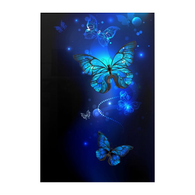 Morpho Butterfly in the Dark Background Acrylic Print (Front)
