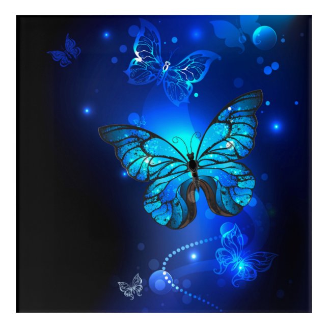 Morpho Butterfly in the Dark Background Acrylic Print (Front)
