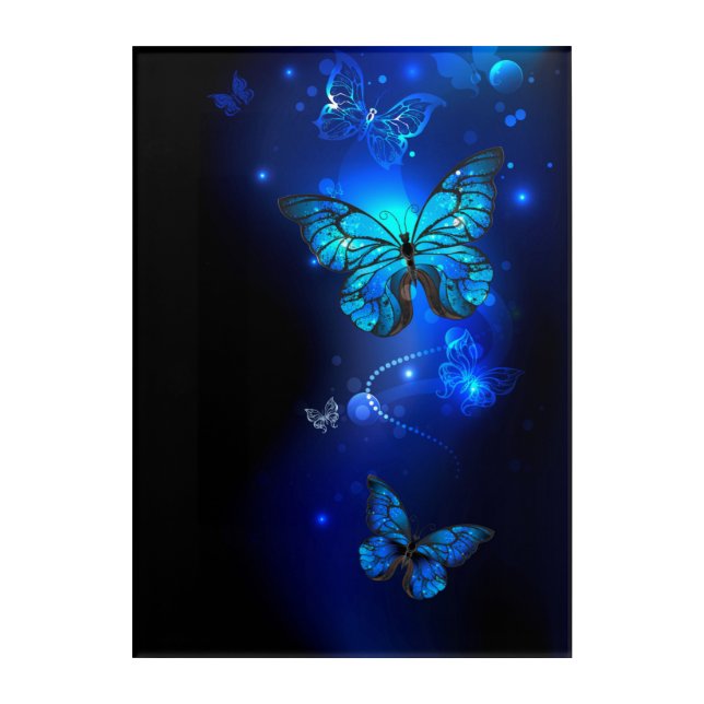 Morpho Butterfly in the Dark Background Acrylic Print (Front)