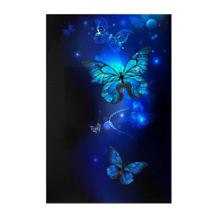 Morpho Butterfly in the Dark Background Acrylic Print