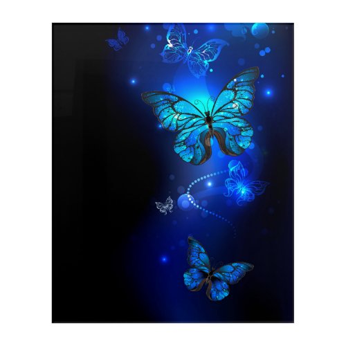 Morpho Butterfly in the Dark Background Acrylic Print